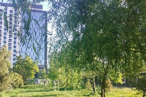 Пробуждение гор и&nbsp;контрасты Бишкека в&nbsp;фото и&nbsp;видео читателей 24.kg
