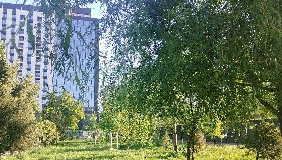 Пробуждение гор и&nbsp;контрасты Бишкека в&nbsp;фото и&nbsp;видео читателей 24.kg
