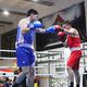 Фото @challenger.boxinggym. Эпизод чемпионата Бишкека по боксу
