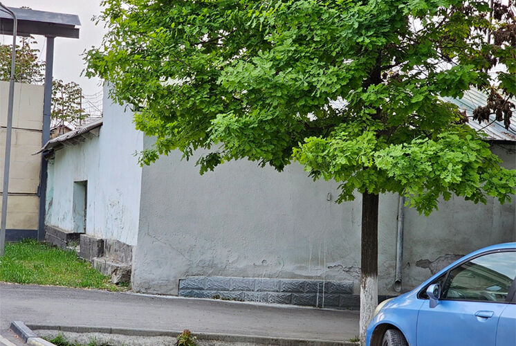 Арслана Койчиева