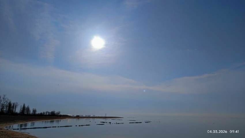 Николая Манаковского