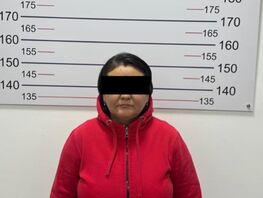 Журналист Алтынай Арстанбекова 9-майга чейин камакка алынды
