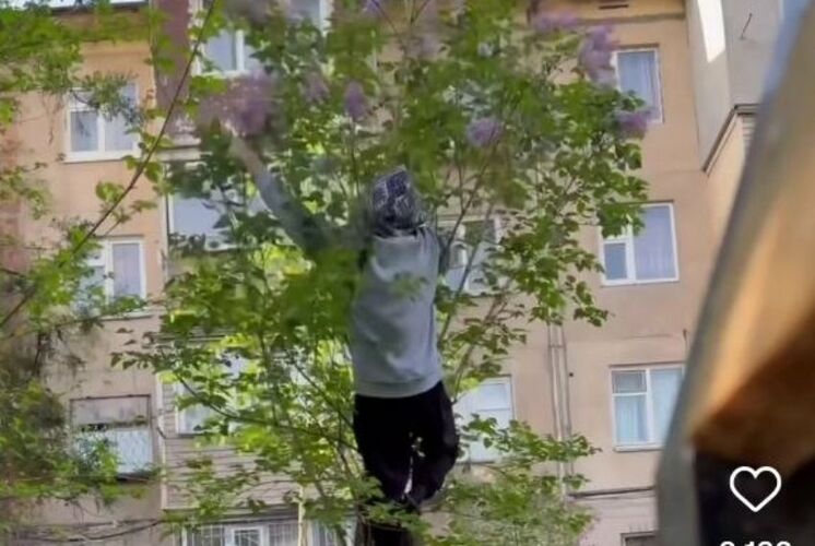 муниципальной инспекции мэрии Бишкека