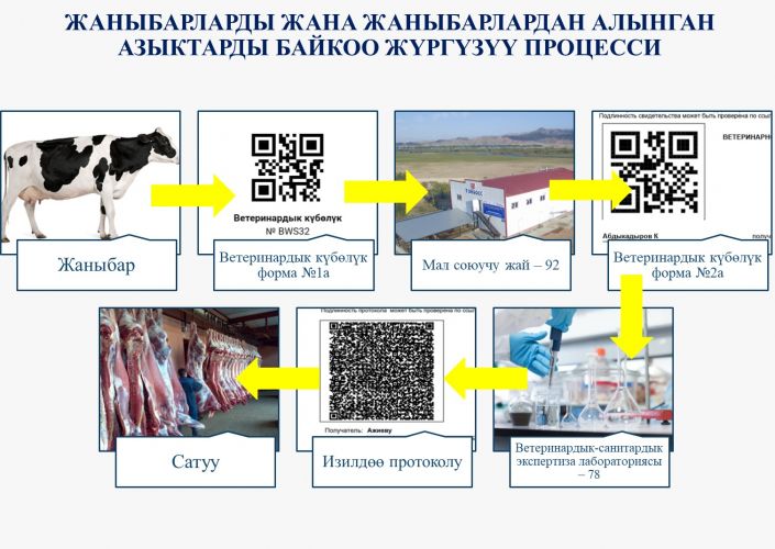 Служба ветеринарии