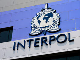 В&nbsp;Кыргызстане задержан особо опасный преступник, разыскиваемый Интерполом
