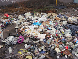 Частники vs&nbsp;&laquo;Тазалык&raquo;. Кто расчистит Бишкек от&nbsp;завалов мусора?
