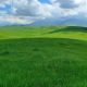 Фото Бакыта Шукуралиева. Изумрудные пейзажи Чуйской долины