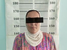 Foreign woman detained after 2 years in hiding for illegal border crossing