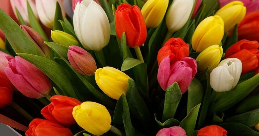 8&nbsp;Марта&nbsp;&mdash; политики рассказали, как поздравят своих женщин
