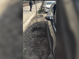 В&nbsp;Бишкеке машину припарковали на&nbsp;новые саженцы. Ответ мэрии
