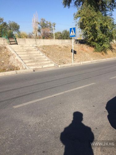 читателя 24.kg