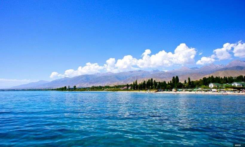 иллюстративное