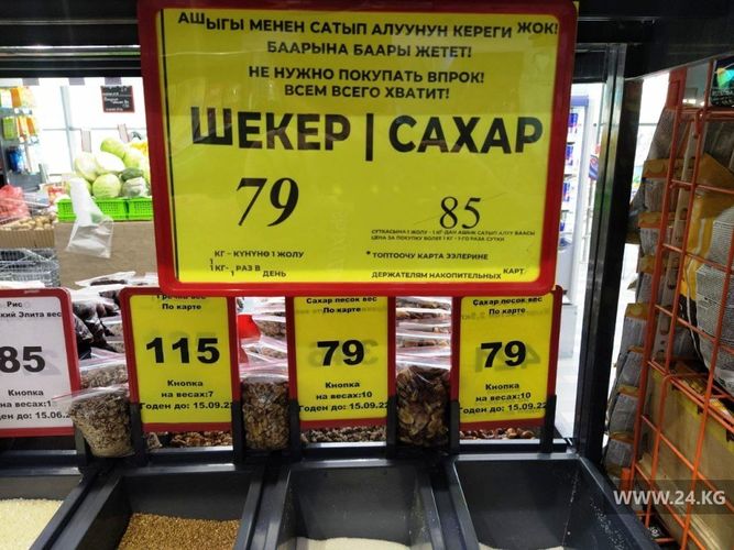 24.kg