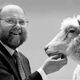 Фото из интернета. Ученый из Шотландии Йен Уилмут, руководивший группой, которая создала первое клонированное млекопитающее - овечку Долли, умер в возрасте 79 лет