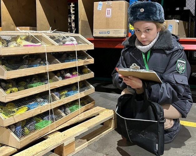  пресс-службы управления Россельхознадзора по Красноярскому краю