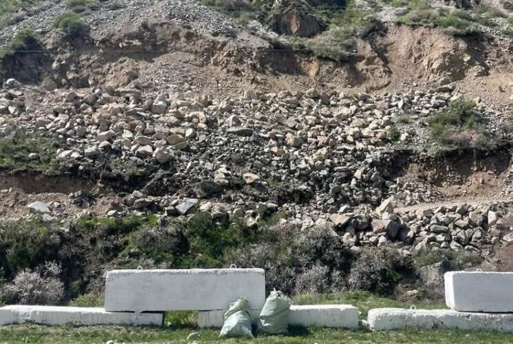 Сеида Атамбаева