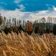 Фото Владислава Ногая. Село Белек