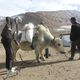 Фото пресс-службы правительства. Памирским кыргызам привезли гуманитарный груз из КР