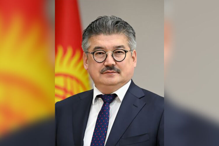 из интернета