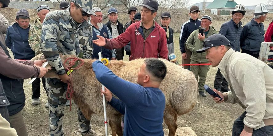 пресс-службы Минсельхоза