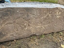 В&nbsp;Сузакском районе обнаружили уникальные оленные камни
