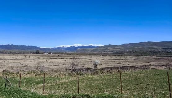 Сквер в&nbsp;центре Бишкека и&nbsp;рисовые поля Узгена. Фото и&nbsp;видео читателей 24.kg
