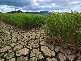 Жажда региона: как климат &laquo;съедает&raquo; воду Центральной Азии уже сегодня
