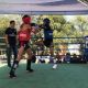 Фото Федерации тайского бокса WMF. Чемпионат Кыргызстана по тайскому боксу (WMF)