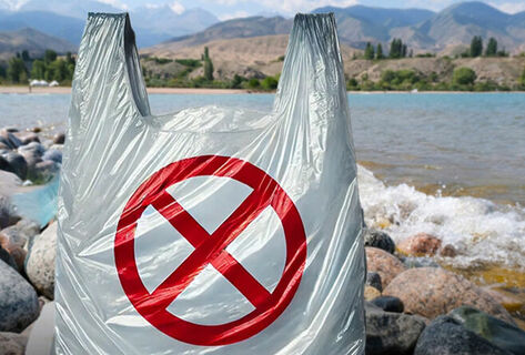 950 warnings issued for plastic bag use in Issyk-Kul region