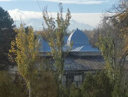 &laquo;Это уже не&nbsp;обрезка&raquo;: жители заметили спил стволов деревьев у&nbsp;здания МВД
