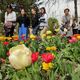 Фото Ботсада. Фестиваль цветения тюльпанов
