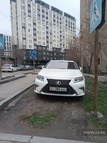 читателя 24.kg