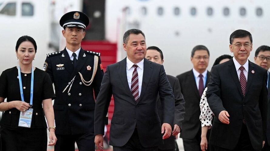 из интернета