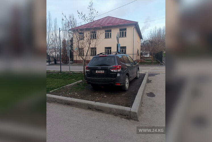 читателя 24.kg