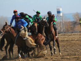 Кубок Нооруза&nbsp;&mdash; 2026: в&nbsp;финале по&nbsp;кок-бору сойдутся &laquo;Намыс&raquo; и&nbsp;&laquo;Ынтымак&raquo;
