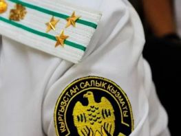 Президента просят не&nbsp;сокращать 500 сотрудников Налоговой службы

