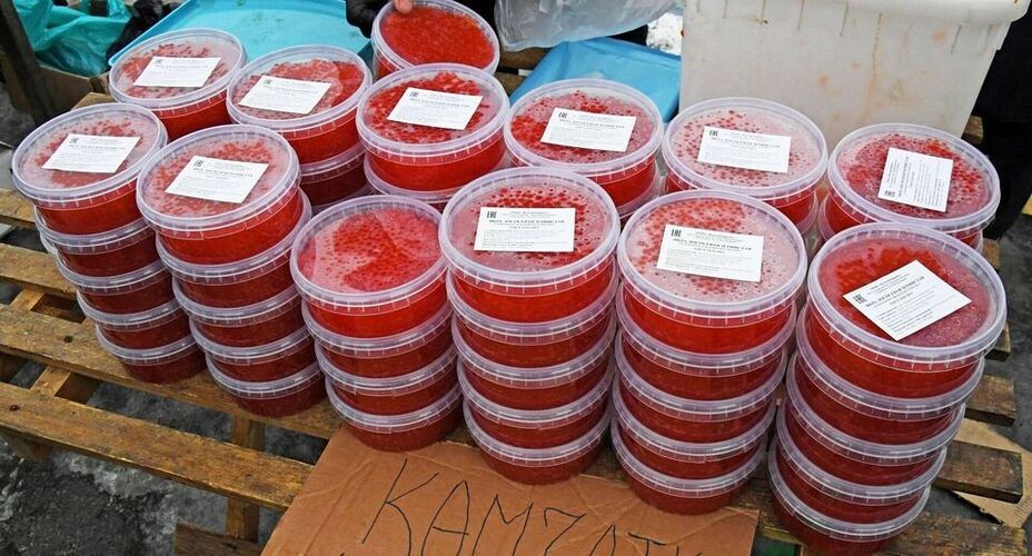 иллюстративное