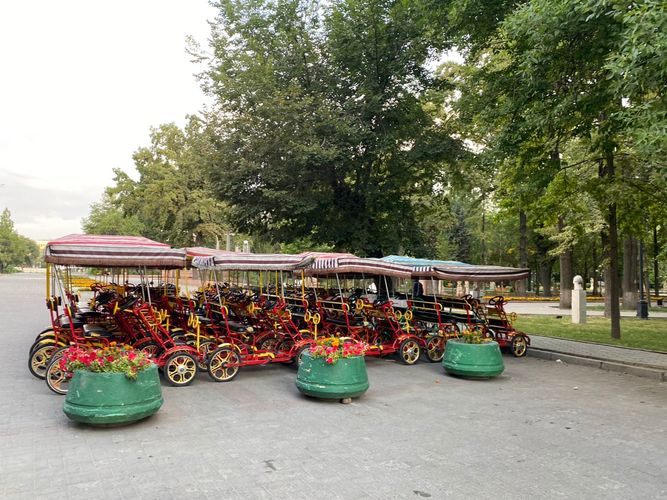 Фото читателя 24.kg. В Дубовом парке сдают велосипеды напрокат