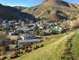 Статуса высокогорных могут лишиться 34&nbsp;села. Кабмин предложил переходный период
