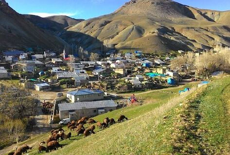 Статуса высокогорных могут лишиться 34&nbsp;села. Кабмин предложил переходный период
