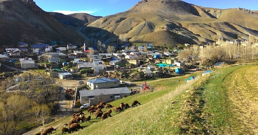 Статуса высокогорных могут лишиться 34&nbsp;села. Кабмин предложил переходный период
