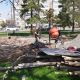 Фото 24.kg. Замена забора в Ботаническом саду по улице Ахунбаева