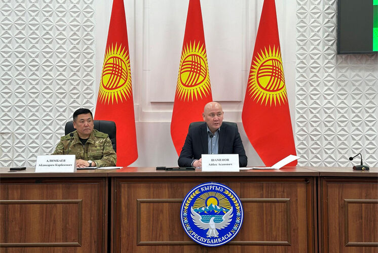 полпредства