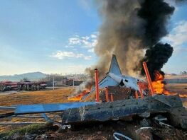 Plane crash at Muan airport in South Korea: What is known