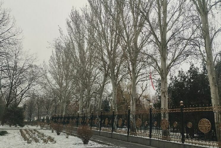 Мээрим Акназаровой