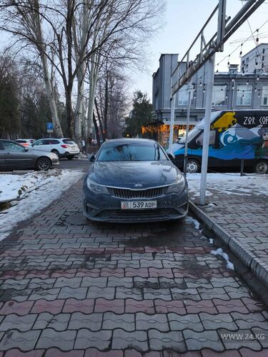 читателей 24.kg