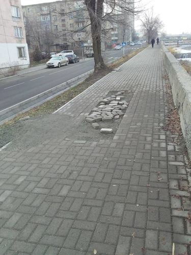 читателя 24.kg