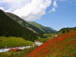 Куда выбраться на&nbsp;майские праздники: варианты отдыха по&nbsp;Кыргызстану
