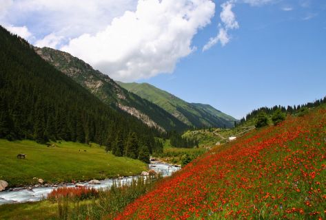 Куда выбраться на&nbsp;майские праздники: варианты отдыха по&nbsp;Кыргызстану
