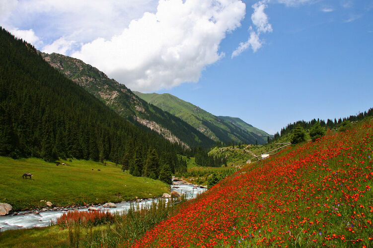 из интернета